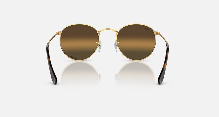 Ray Ban Ray Ban Round Metal Arista | 001/G5