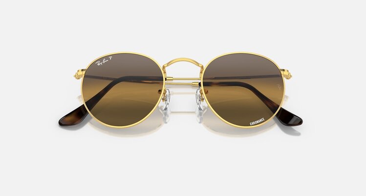 Ray Ban Ray Ban Round Metal Arista | 001/G5