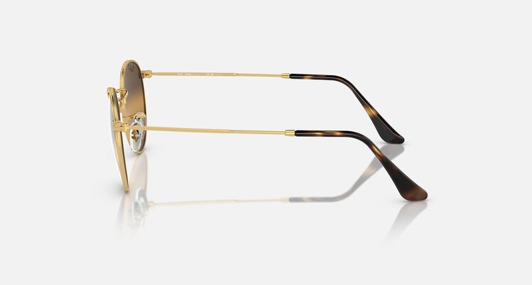 Ray Ban Ray Ban Round Metal Arista | 001/G5