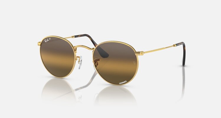 Ray Ban Ray Ban Round Metal Arista | 001/G5
