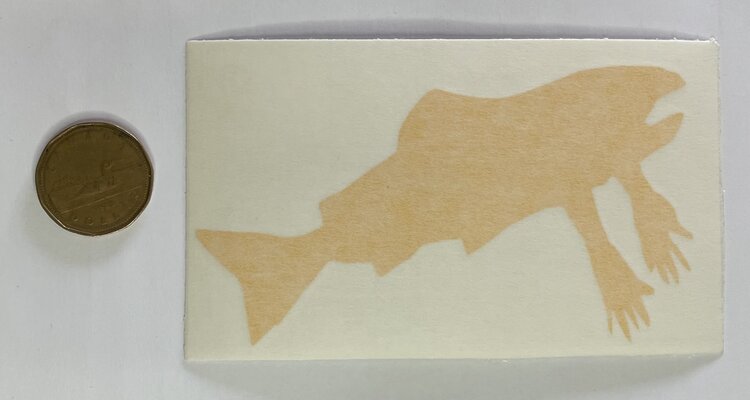 Salmon Arms Salmon Arms Sticker | Die-Cut | Yellow