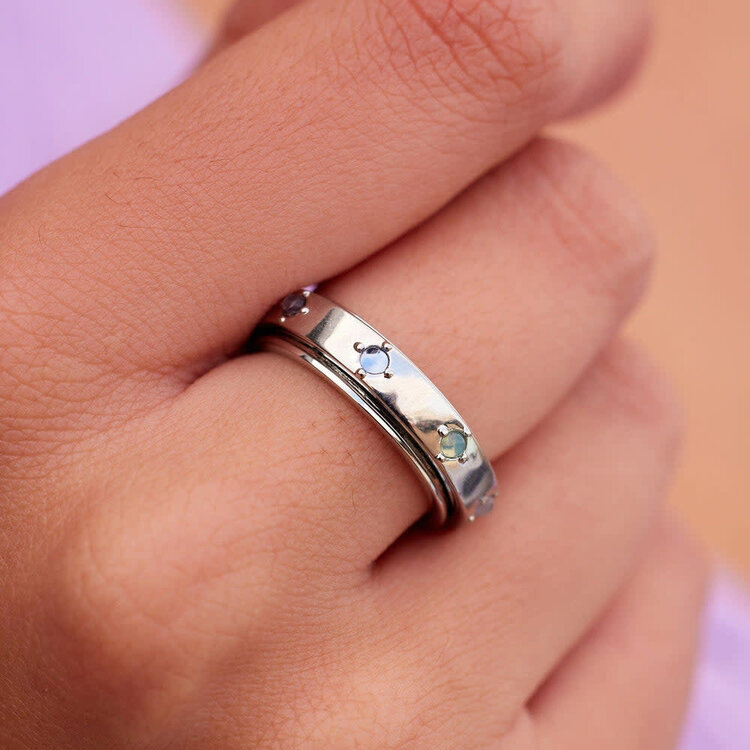 Pura Vida Pura Vida Mha Fidget Ring | Silver