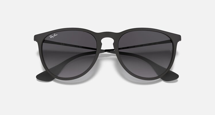 Ray Ban Ray Ban Erika Rubber Black | 622/8G
