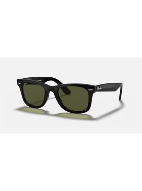 Ray Ban Ray Ban Wayfarer Ease Polished Black | G-15 Green Polarized