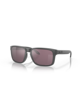 Oakley Oakley Holbrook Steel | Prizm Daily Polarized