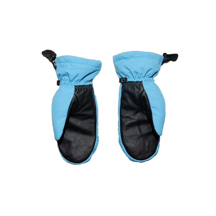 Salmon Arms Salmon Arms Classic Mitt 2026 (Unisex) | Rainbow