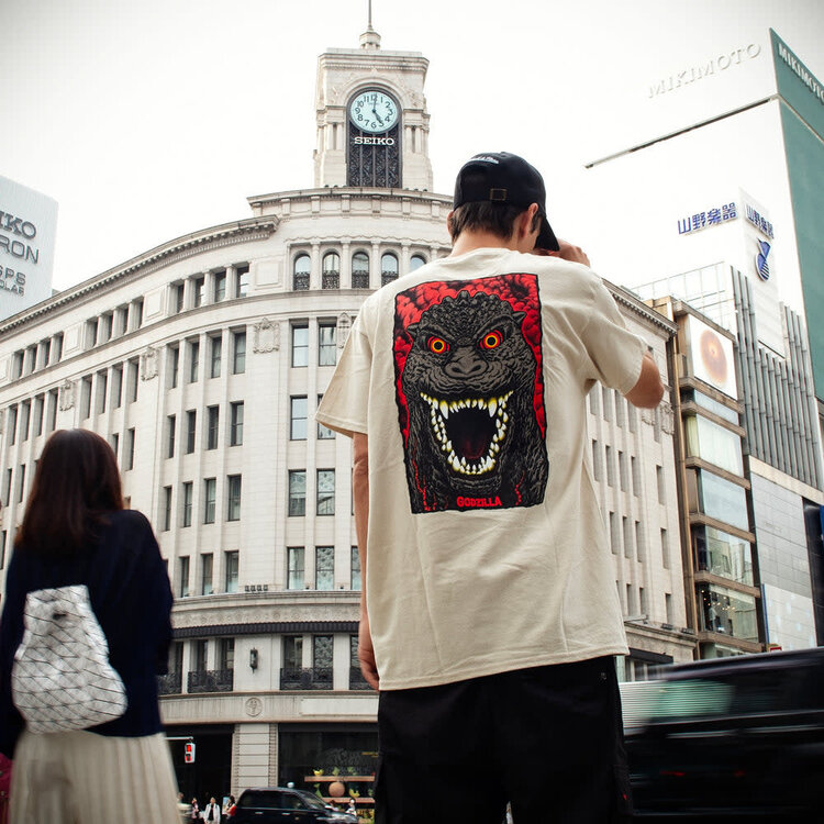 Santa Cruz Santa Cruz Godzilla Destroyer Stripes T-Shirt (Mens) | Sand