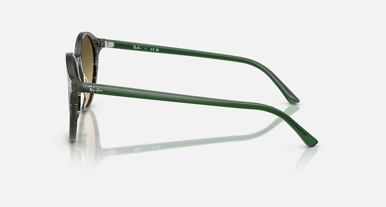 Ray Ban Ray Ban Bernard Transparent Shade Fantasy Green | Brown