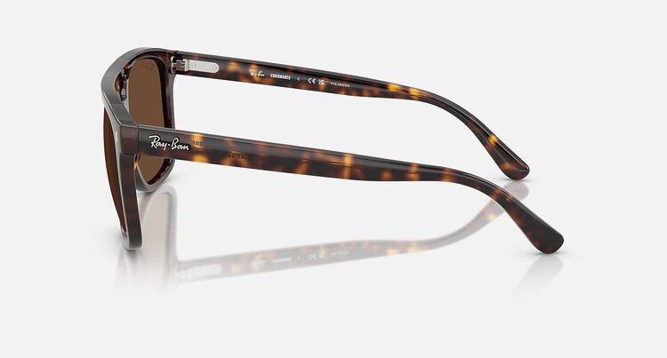 Ray Ban Ray Ban Rb2213Ch Chromance Havana | Brown Polarized