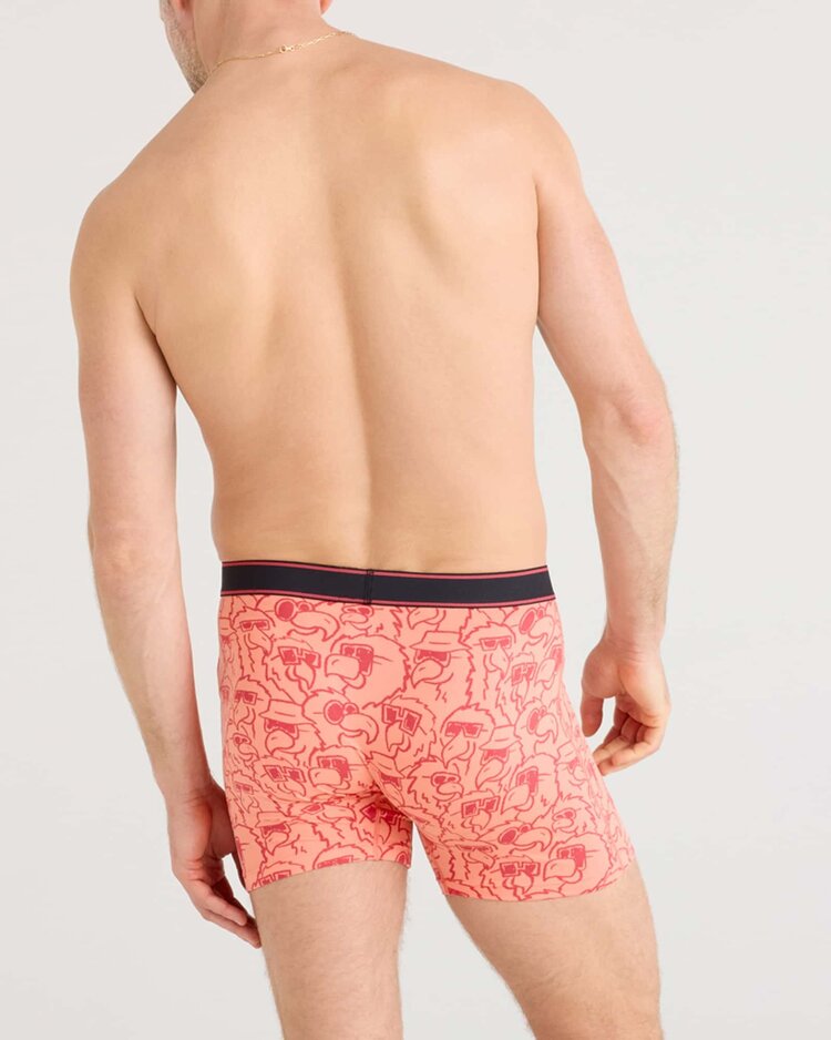 SAXX Saxx Daytripper Comfort Stretch Boxer Brief Fly | Parrot Party-Fusion Coral