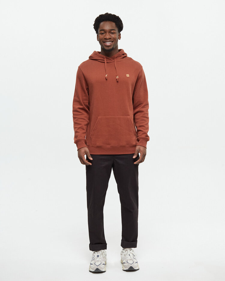 Tentree Tentree Reynard Hoodie (Mens) | Sequoia