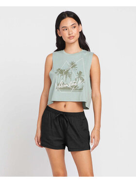 Volcom Volcom Stone Def Short (Womens) | Black