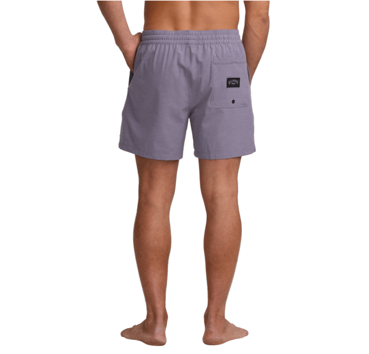 Billabong Billabong Every Other Day Boardshort (Mens) | Lavender