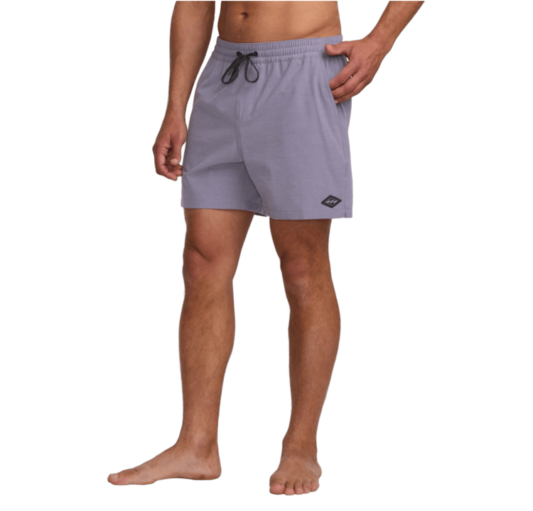 Billabong Billabong Every Other Day Boardshort (Mens) | Lavender