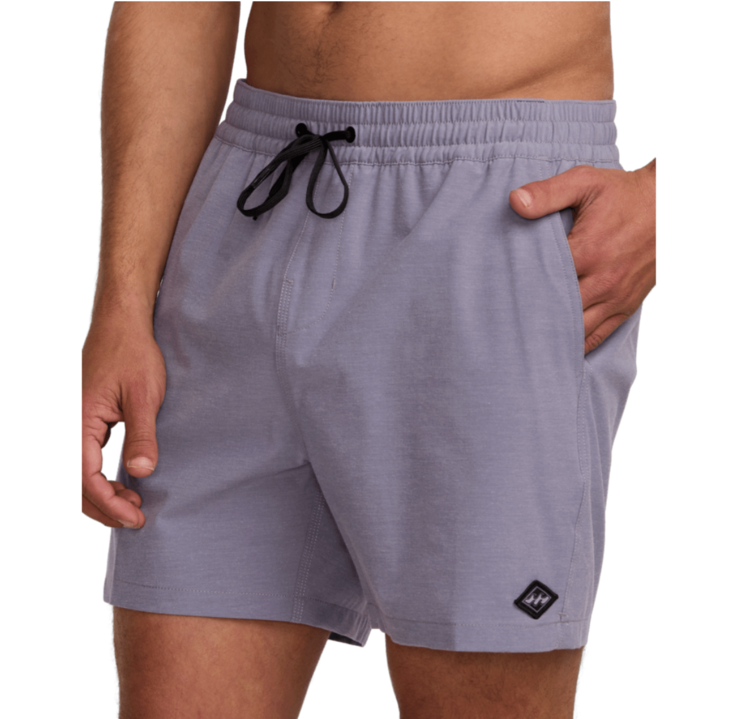 Billabong Billabong Every Other Day Boardshort (Mens) | Lavender