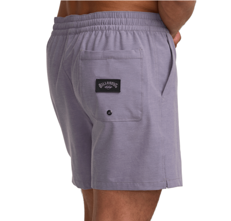 Billabong Billabong Every Other Day Boardshort (Mens) | Lavender