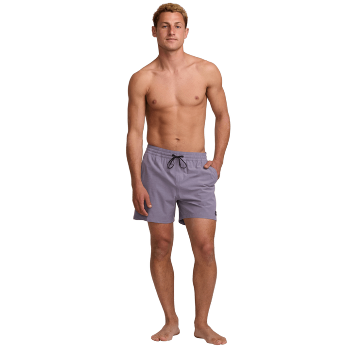Billabong Billabong Every Other Day Boardshort (Mens) | Lavender