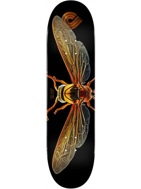 Powell Powell Peralta Potter Wasp Shape 247 Deck