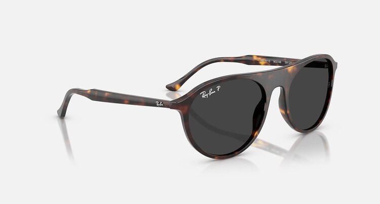 Ray Ban Ray Ban Rb2215 Polished Havana | Black Polarized