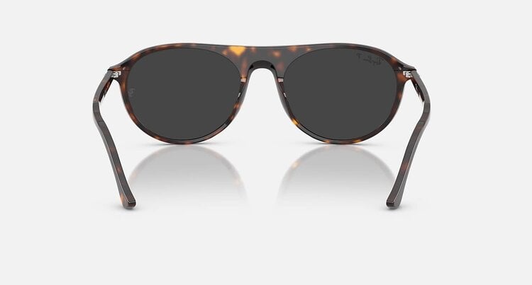 Ray Ban Ray Ban Rb2215 Polished Havana | Black Polarized