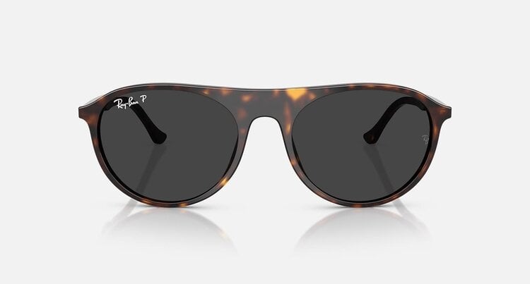 Ray Ban Ray Ban Rb2215 Polished Havana | Black Polarized