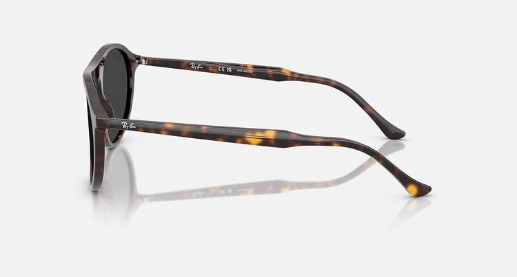 Ray Ban Ray Ban Rb2215 Polished Havana | Black Polarized
