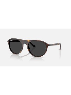Ray Ban Ray Ban Rb2215 Polished Havana | Black Polarized