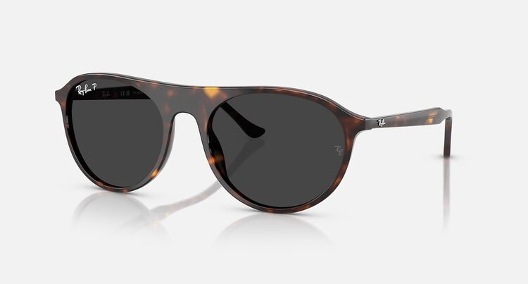 Ray Ban Ray Ban Rb2215 Polished Havana | Black Polarized