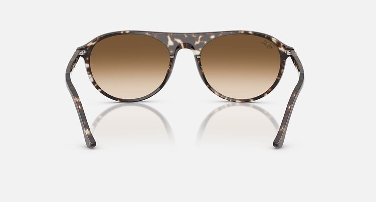 Ray Ban Ray Ban Rb2215 Polished Havana Yellow Turtle | Clear Brown Gradient