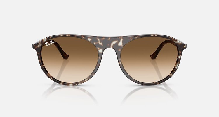 Ray Ban Ray Ban Rb2215 Polished Havana Yellow Turtle | Clear Brown Gradient