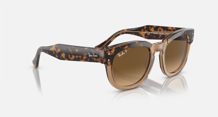 Ray Ban Ray Ban Mega Hawkeye Havana On Transparent Brown | Brown Polarized
