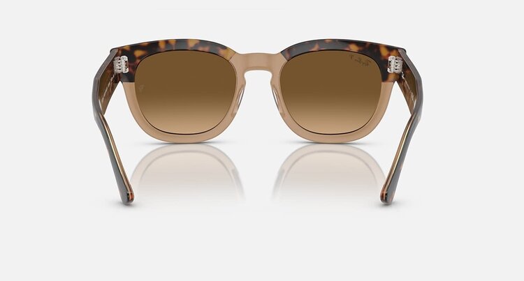 Ray Ban Ray Ban Mega Hawkeye Havana On Transparent Brown | Brown Polarized