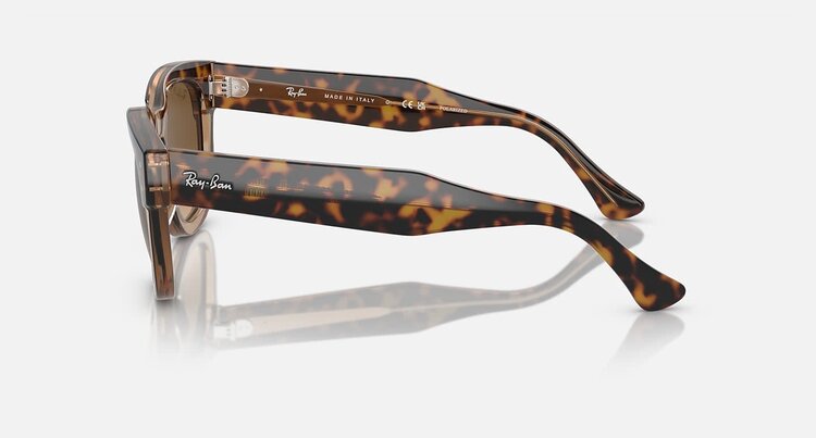 Ray Ban Ray Ban Mega Hawkeye Havana On Transparent Brown | Brown Polarized