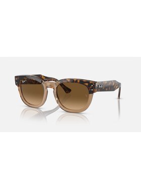 Ray Ban Ray Ban Mega Hawkeye Havana On Transparent Brown | Brown Polarized