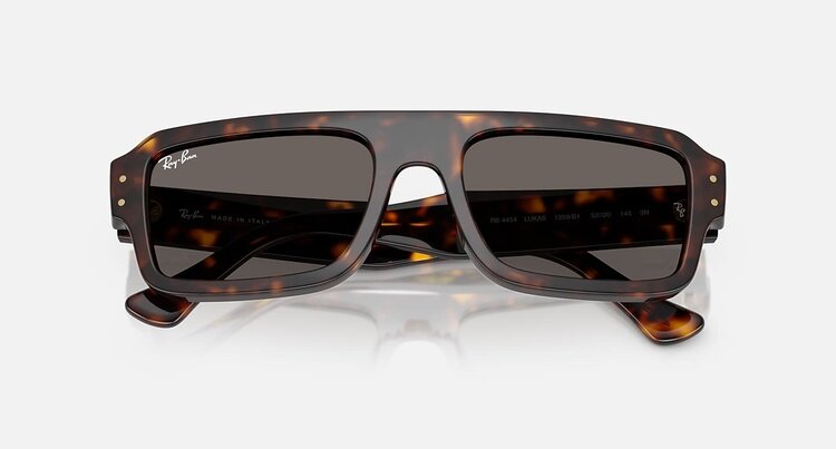 Ray Ban Ray Ban Lukas Polished Havana | Dark Grey