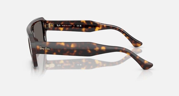 Ray Ban Ray Ban Lukas Polished Havana | Dark Grey