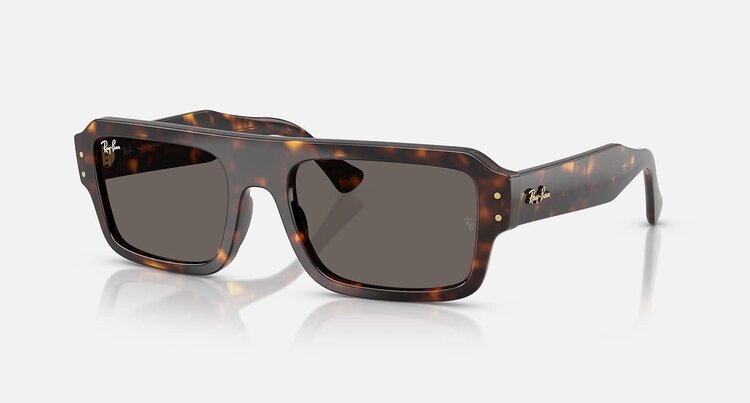 Ray Ban Ray Ban Lukas Polished Havana | Dark Grey