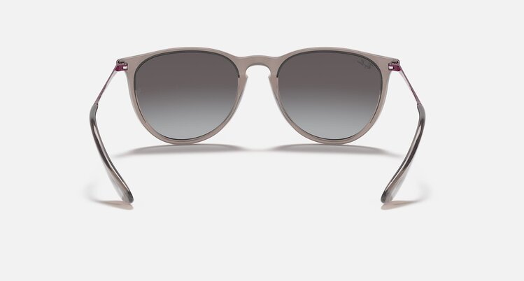 Ray Ban Ray Ban Erika Transparent Grey | Light Grey/Dark Grey Gradient