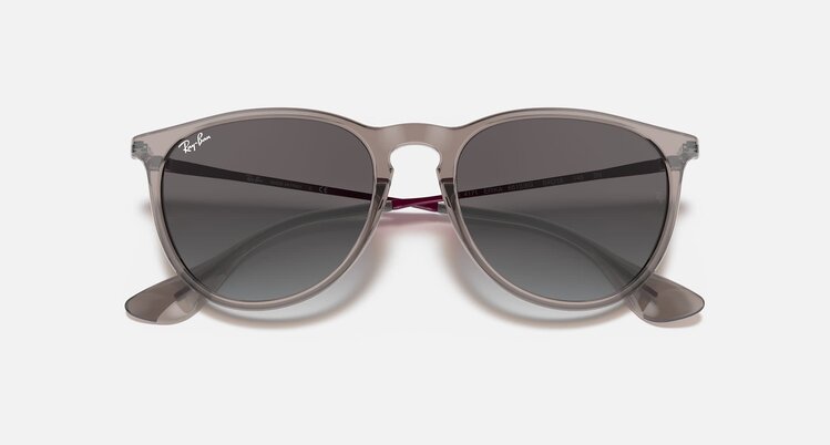 Ray Ban Ray Ban Erika Transparent Grey | Light Grey/Dark Grey Gradient