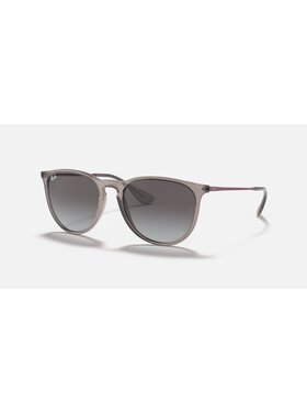 Ray Ban Ray Ban Erika Transparent Grey | Light Grey/Dark Grey Gradient