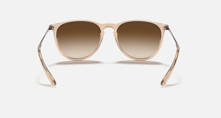 Ray Ban Ray Ban Erika Transparent Brown | Brown Gradient