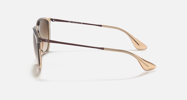 Ray Ban Ray Ban Erika Transparent Brown | Brown Gradient