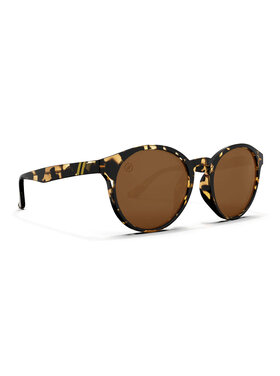 BLENDERS Blenders Coastal X2 Gloss Tortoise | Amber Pc Polarized
