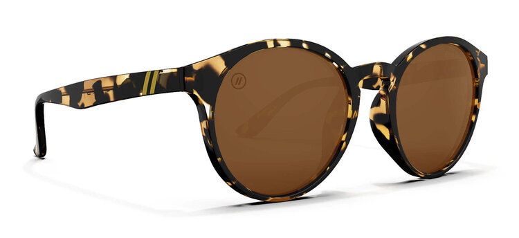 BLENDERS Blenders Coastal X2 Gloss Tortoise | Amber Pc Polarized
