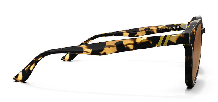 BLENDERS Blenders Coastal X2 Gloss Tortoise | Amber Pc Polarized