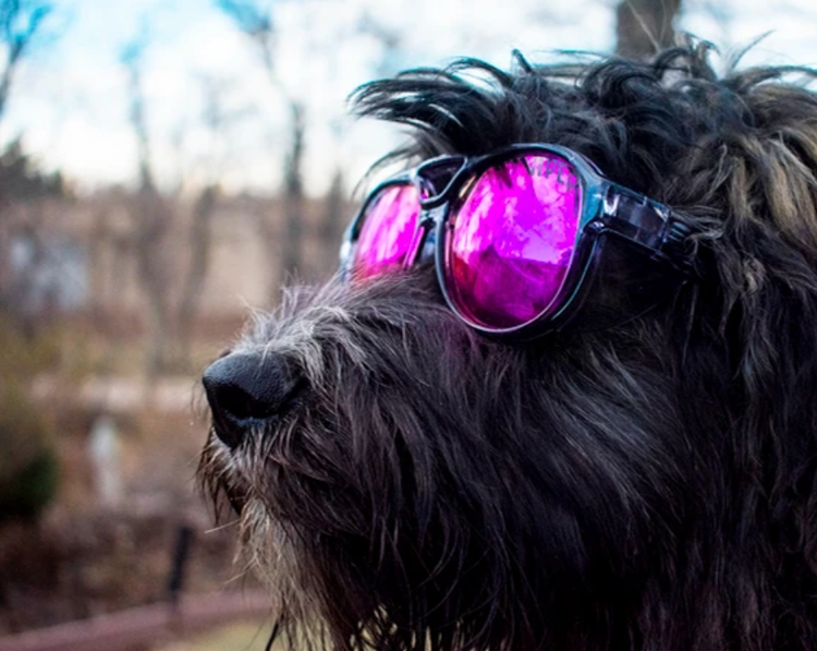 Pit Viper Pit Viper The Exciters Smoke Show | Polarized Z87+ Purple