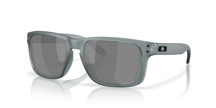 Oakley Oakley Holbrook Matte Crystal Black | Prizm Black Polar
