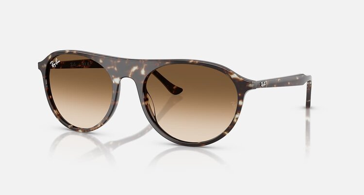 Ray Ban Ray Ban Rb2215 Polished Havana Yellow Turtle | Clear Brown Gradient