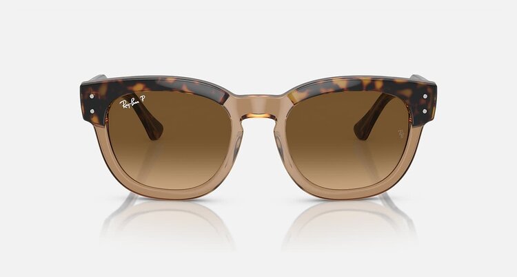 Ray Ban Ray Ban Mega Hawkeye Havana On Transparent Brown | Brown Polarized