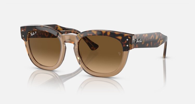 Ray Ban Ray Ban Mega Hawkeye Havana On Transparent Brown | Brown Polarized